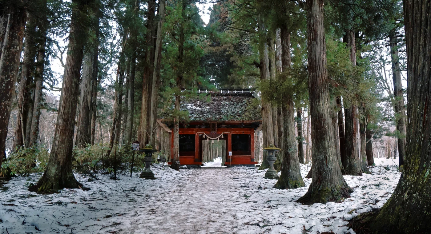 Experience